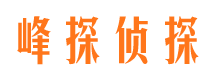 荔湾市调查公司